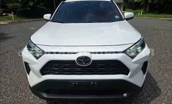 Buy Used Toyota RAV4 White Car in Marsh Harbour in Abaco