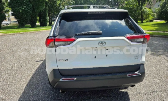 Buy Used Toyota RAV4 White Car in Marsh Harbour in Abaco Buy Used Toyota RAV4 White Car in Marsh Harbour in Abaco