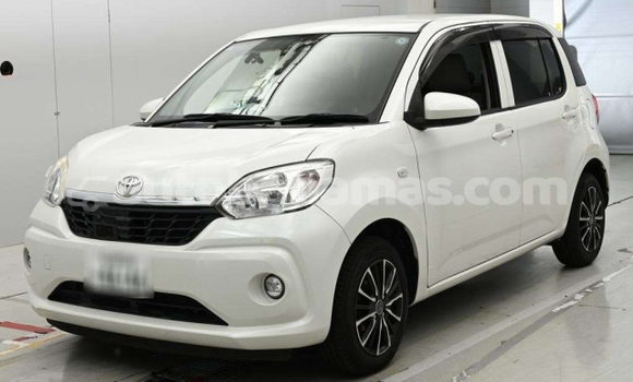 Buy Used Toyota Passo White Car in Alice Town in Biminis