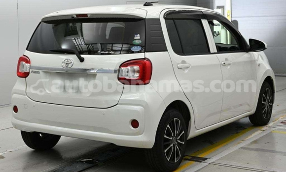 Buy Used Toyota Passo White Car in Alice Town in Biminis Buy Used Toyota Passo White Car in Alice Town in Biminis