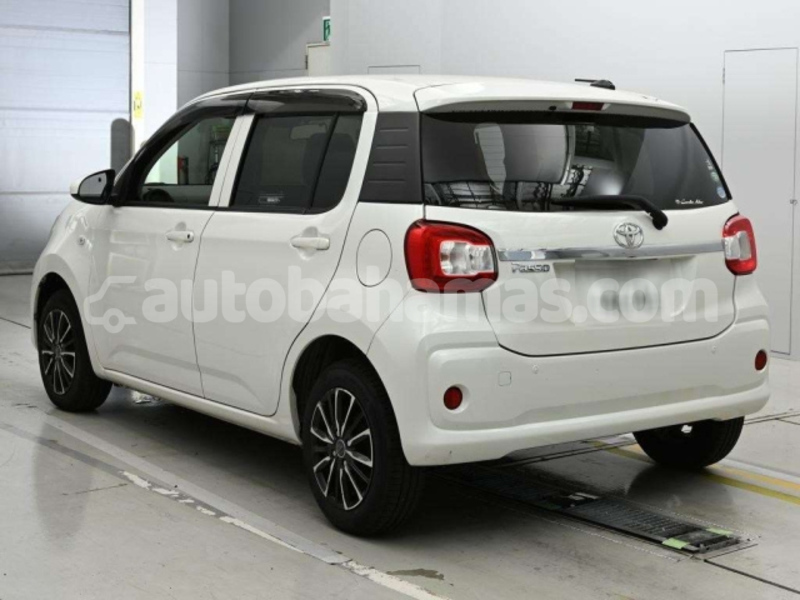 Big with watermark toyota passo biminis alice town 2431