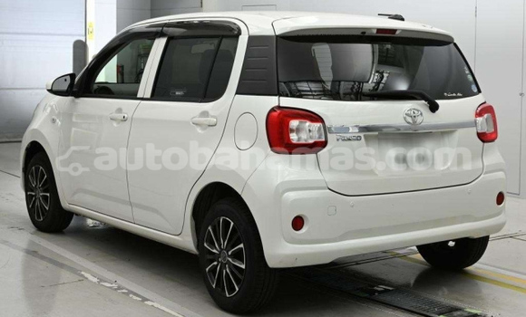 Buy Used Toyota Passo White Car in Alice Town in Biminis Buy Used Toyota Passo White Car in Alice Town in Biminis