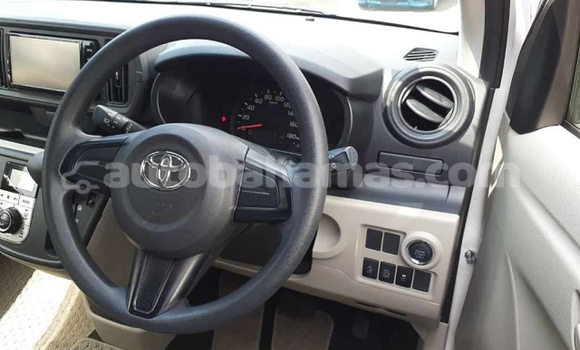 Buy Used Toyota Passo White Car in Alice Town in Biminis Buy Used Toyota Passo White Car in Alice Town in Biminis