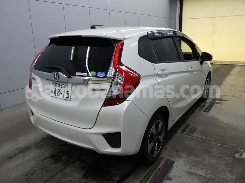 Big with watermark honda fit abaco marsh harbour 2433