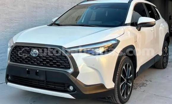 Buy Used Toyota Corolla Cross White Car in Marsh Harbour in Abaco
