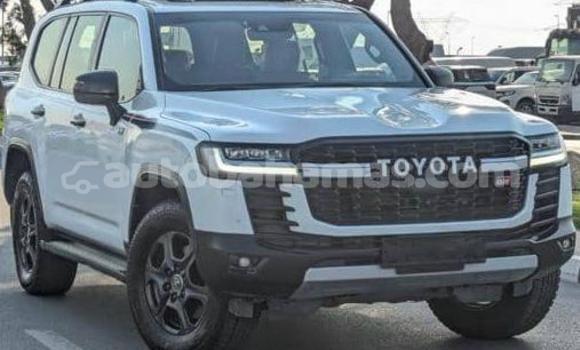 Buy Used Toyota Land Cruiser White Car in Marsh Harbour in Abaco