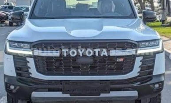 Buy Used Toyota Land Cruiser White Car in Marsh Harbour in Abaco Buy Used Toyota Land Cruiser White Car in Marsh Harbour in Abaco