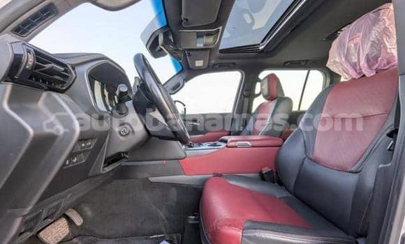 Buy Used Toyota Land Cruiser White Car in Marsh Harbour in Abaco Buy Used Toyota Land Cruiser White Car in Marsh Harbour in Abaco