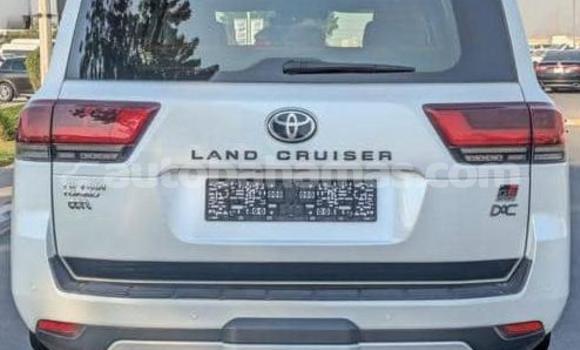 Buy Used Toyota Land Cruiser White Car in Marsh Harbour in Abaco Buy Used Toyota Land Cruiser White Car in Marsh Harbour in Abaco
