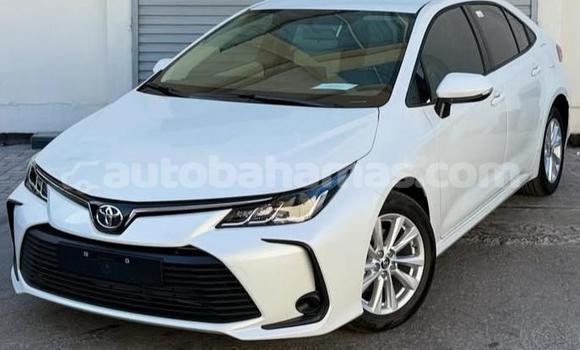 Buy Used Toyota Corolla White Car in Marsh Harbour in Abaco