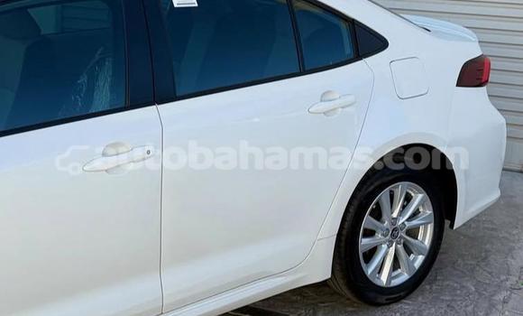 Buy Used Toyota Corolla White Car in Marsh Harbour in Abaco Buy Used Toyota Corolla White Car in Marsh Harbour in Abaco