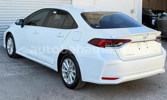 Buy Used Toyota Corolla White Car in Marsh Harbour in Abaco Buy Used Toyota Corolla White Car in Marsh Harbour in Abaco