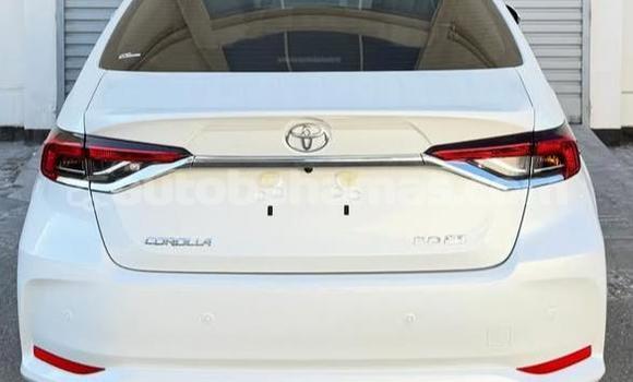Buy Used Toyota Corolla White Car in Marsh Harbour in Abaco Buy Used Toyota Corolla White Car in Marsh Harbour in Abaco