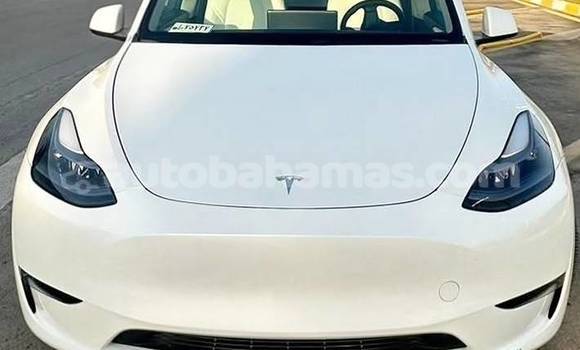 Buy Used Tesla Model X White Car in Marsh Harbour in Abaco
