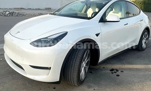 Buy Used Tesla Model X White Car in Marsh Harbour in Abaco Buy Used Tesla Model X White Car in Marsh Harbour in Abaco