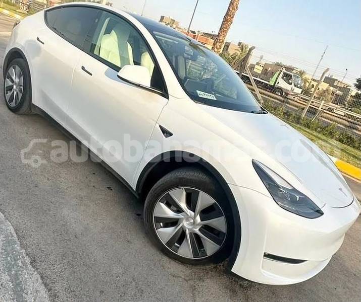 Big with watermark tesla model x abaco marsh harbour 2486