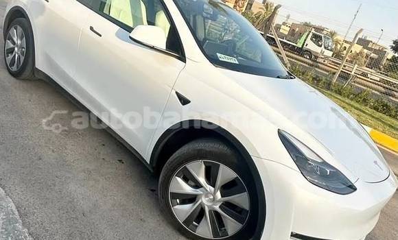 Buy Used Tesla Model X White Car in Marsh Harbour in Abaco Buy Used Tesla Model X White Car in Marsh Harbour in Abaco