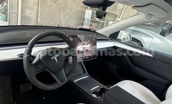 Buy Used Tesla Model X White Car in Marsh Harbour in Abaco Buy Used Tesla Model X White Car in Marsh Harbour in Abaco