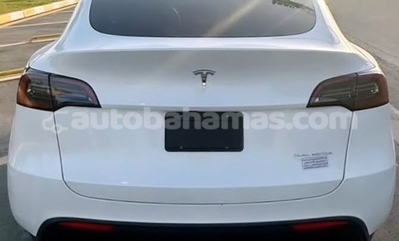 Buy Used Tesla Model X White Car in Marsh Harbour in Abaco Buy Used Tesla Model X White Car in Marsh Harbour in Abaco