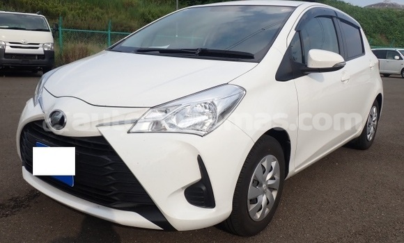 Buy Used Toyota Vitz White Car in Alice Town in Biminis