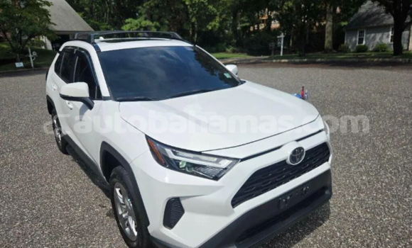 Buy Used Toyota RAV4 White Car in Andros Town in Andros