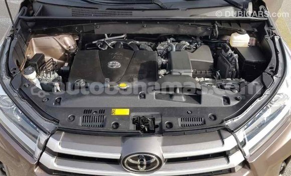 Buy Import Toyota Highlander Brown Car in Import - Dubai in Abaco Buy Import Toyota Highlander Brown Car in Import - Dubai in Abaco