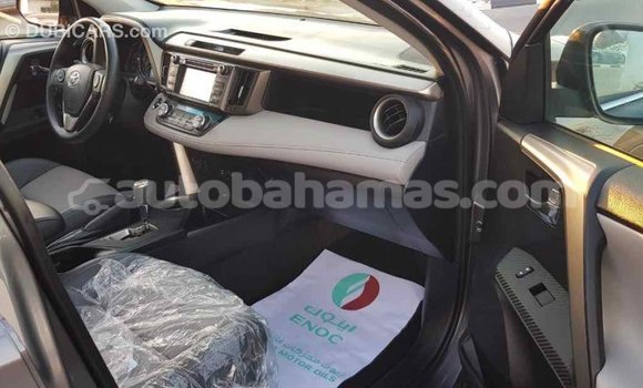 Buy Import Toyota HiAce Other Truck in Import - Dubai in Abaco Buy Import Toyota HiAce Other Truck in Import - Dubai in Abaco