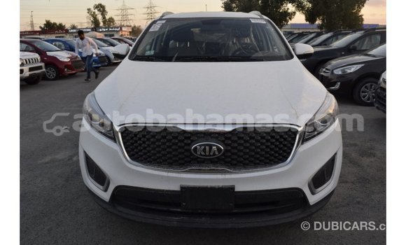 Buy Import Kia Sorento White Car in Import - Dubai in Abaco