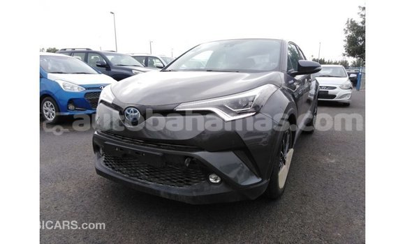 Buy Import Toyota C-HR Other Car in Import - Dubai in Abaco Buy Import Toyota C-HR Other Car in Import - Dubai in Abaco
