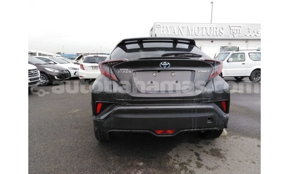 Buy Import Toyota C-HR Other Car in Import - Dubai in Abaco Buy Import Toyota C-HR Other Car in Import - Dubai in Abaco