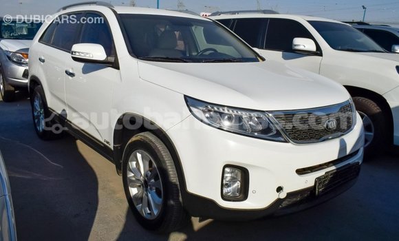 Buy Import Kia Sorento White Car in Import - Dubai in Abaco Buy Import Kia Sorento White Car in Import - Dubai in Abaco