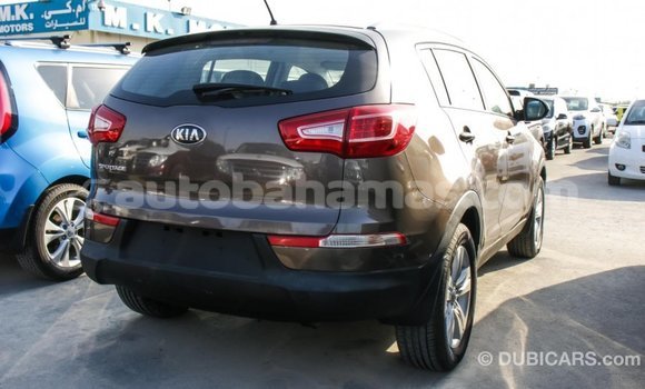 Buy Import Kia Sportage Brown Car in Import - Dubai in Abaco Buy Import Kia Sportage Brown Car in Import - Dubai in Abaco