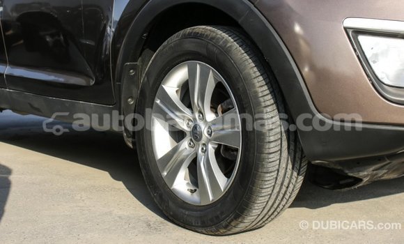 Buy Import Kia Sportage Brown Car in Import - Dubai in Abaco Buy Import Kia Sportage Brown Car in Import - Dubai in Abaco