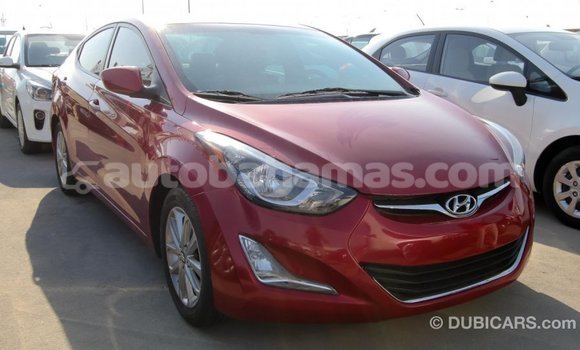 Buy Import Hyundai Elantra Red Car in Import - Dubai in Abaco