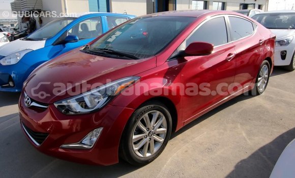Buy Import Hyundai Elantra Red Car in Import - Dubai in Abaco Buy Import Hyundai Elantra Red Car in Import - Dubai in Abaco