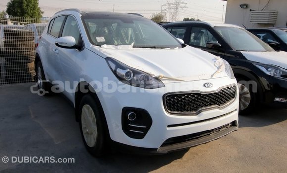 Buy Import Kia Sportage White Car in Import - Dubai in Abaco