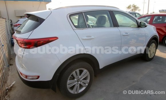 Buy Import Kia Sportage White Car in Import - Dubai in Abaco Buy Import Kia Sportage White Car in Import - Dubai in Abaco