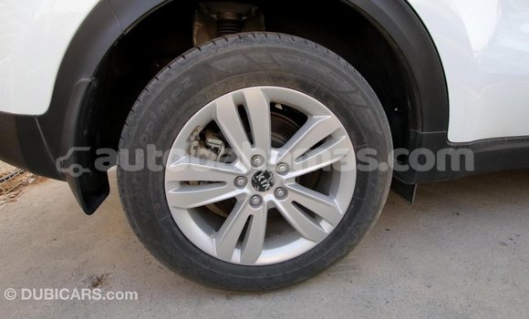 Buy Import Kia Sportage White Car in Import - Dubai in Abaco Buy Import Kia Sportage White Car in Import - Dubai in Abaco