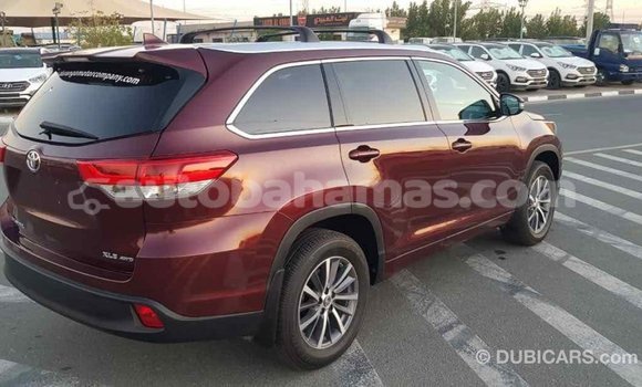 Buy Import Toyota Highlander Other Car in Import - Dubai in Abaco Buy Import Toyota Highlander Other Car in Import - Dubai in Abaco