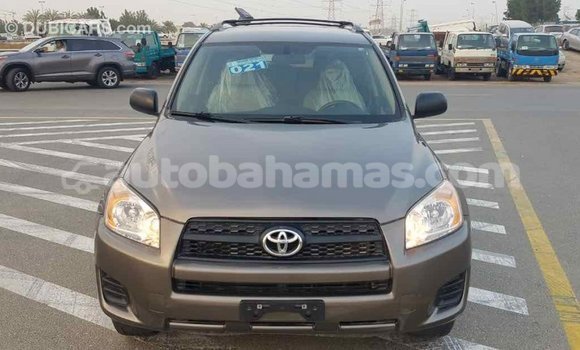 Buy Import Toyota HiAce Brown Truck in Import - Dubai in Abaco Buy Import Toyota HiAce Brown Truck in Import - Dubai in Abaco