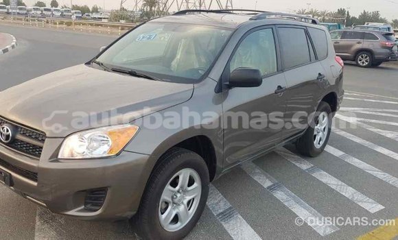 Buy Import Toyota HiAce Brown Truck in Import - Dubai in Abaco Buy Import Toyota HiAce Brown Truck in Import - Dubai in Abaco