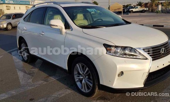 Buy Import Lexus RX 350 White Car in Import - Dubai in Abaco