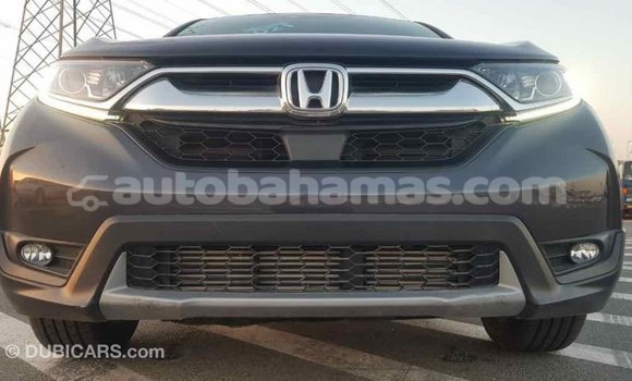 Buy Import Honda C Other Bike in Import - Dubai in Abaco Buy Import Honda C Other Bike in Import - Dubai in Abaco