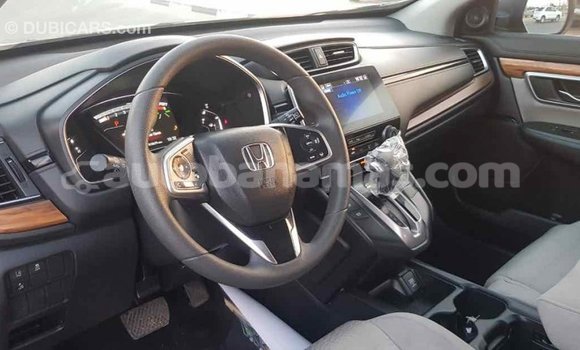 Buy Import Honda C Other Bike in Import - Dubai in Abaco Buy Import Honda C Other Bike in Import - Dubai in Abaco