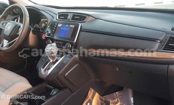 Buy Import Honda C Other Bike in Import - Dubai in Abaco Buy Import Honda C Other Bike in Import - Dubai in Abaco