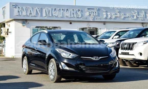 Buy Import Hyundai Elantra Black Car in Import - Dubai in Abaco