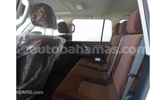 Buy Import Toyota Land Cruiser Other Car in Import - Dubai in Abaco Buy Import Toyota Land Cruiser Other Car in Import - Dubai in Abaco