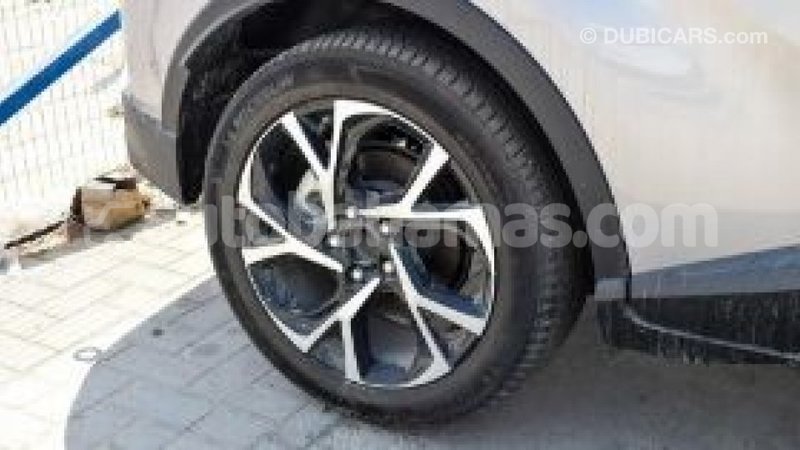 Big with watermark b30d2f7c 0290 4a31 9c5a e661e6514544