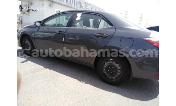 Buy Import Toyota Corolla Other Car in Import - Dubai in Abaco Buy Import Toyota Corolla Other Car in Import - Dubai in Abaco