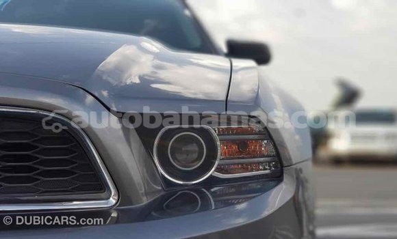 Buy Import Ford Mustang Other Car in Import - Dubai in Abaco